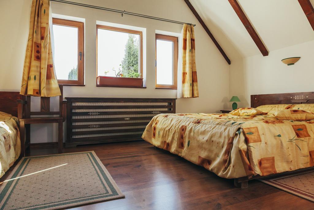 موغيتْشي دي يوس Drumul Carului Villa المظهر الخارجي الصورة